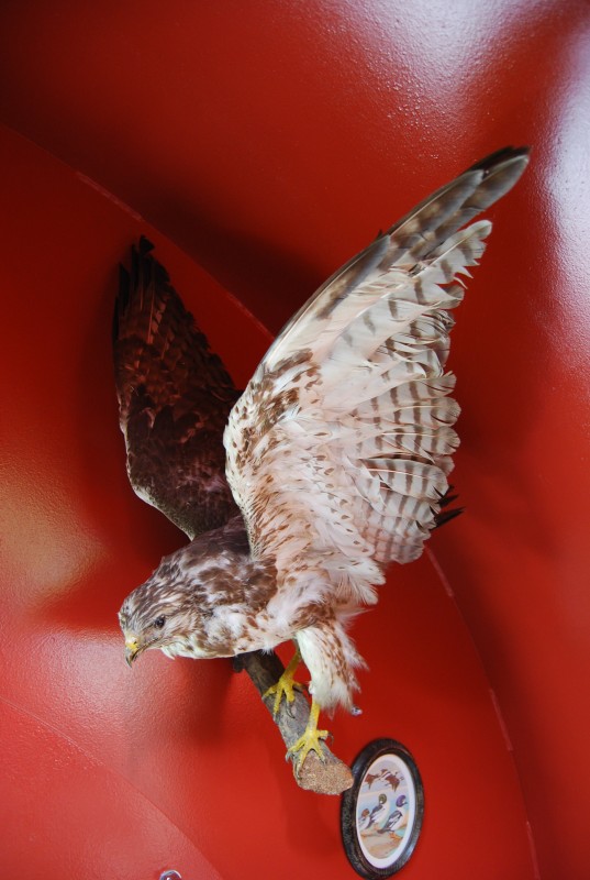 DSC_3471.jpg
