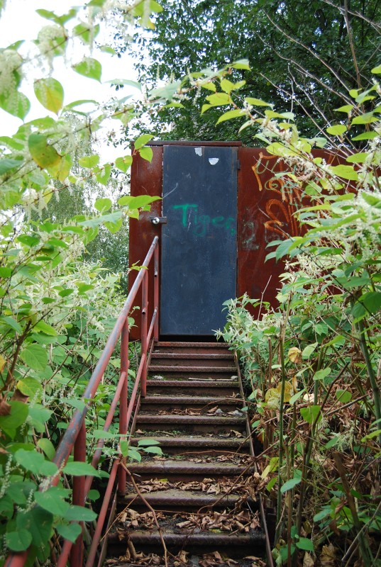 DSC_3723.jpg