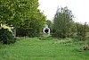 DSC_3463.jpg